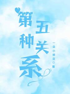 第五种关系第五种关系
